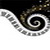 :iconblackorquid: