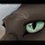 :iconBlackOut-94: