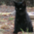 :iconblackpage: