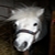 :iconblackpaininthenight: