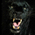 :iconblackpanther: