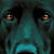 BlackPepperPhotos :iconblackpepperphotos: