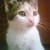 :iconblackpumagirl1990: