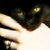 :iconblackpurpleshoelaces: