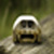 :iconblackrabbit33: