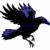 :iconblackraven300: