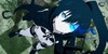 :iconblackrockshoterfans: