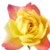 :iconblackromantiq: