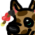 :iconblackrose324: