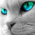 :iconblackrose3649: