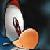 :iconblackrosecutie111:
