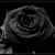 :iconblackrosekiss: