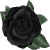 :iconblackroseofdesire: