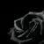 :iconblackroserb: