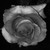 :iconblackrouse-1501: