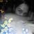 :iconblacksacha: