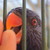 :iconblackscourge2: