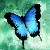 :iconblackshinju: