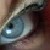 :iconblackstaraj: