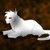 :iconblackstarshadowclan: