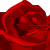 :iconblackstarsz: