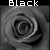 :iconBlackTearsAngel: