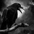 :iconblackthorn1326: