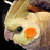 :iconblackthornrose: