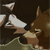:iconblacktijger29: