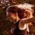 :iconblackvolchitsa:
