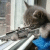 :iconblackvragorcartoons: