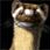 :iconblackweazel: