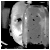 :iconblackwhitefilm: