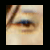 :iconblackwidowspider: