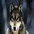 :iconblackwolf1274: