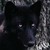:iconblackwolf129:
