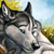 :iconblackwolf1991: