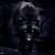 :iconblackwolf219: