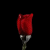 :iconblackwolfeamazon: