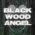 :iconblackwood-angel: