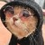 :iconblackwordwerewolf: