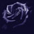 :iconblackxrose84:
