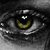 :iconblacleria: