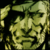 :iconblade128: