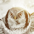 :iconbladek23: