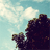 :iconbladeofjuliet: