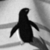 :iconBlagoBlago: