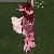 :iconblahber0smith: