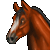 :iconblaine-river-ranch: