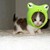 :iconblairstudios: